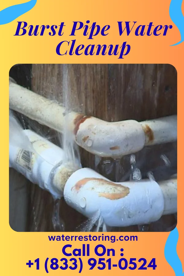 Burst Pipe Water Cleanup in Roessleville, NY