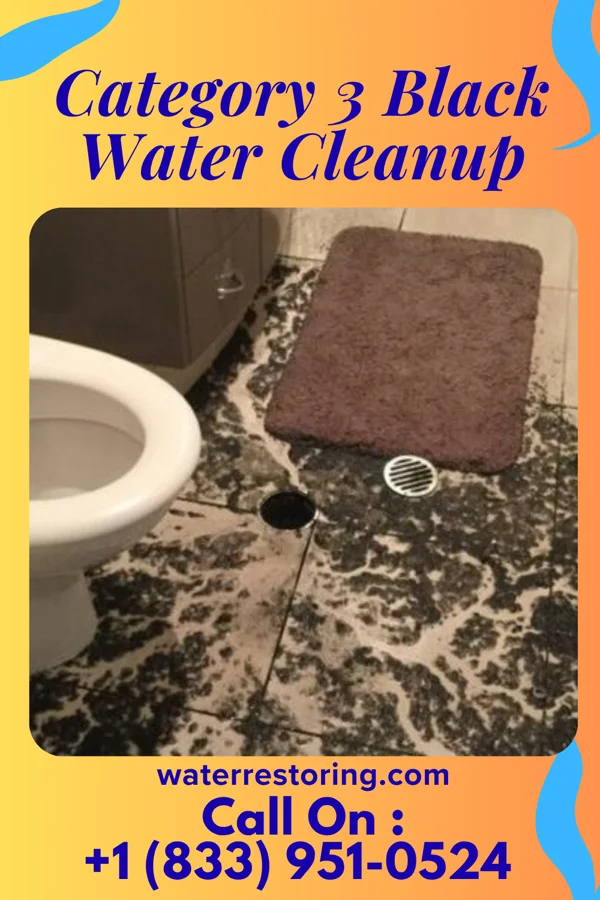 Category 3 Black Water Cleanup in Roessleville, NY