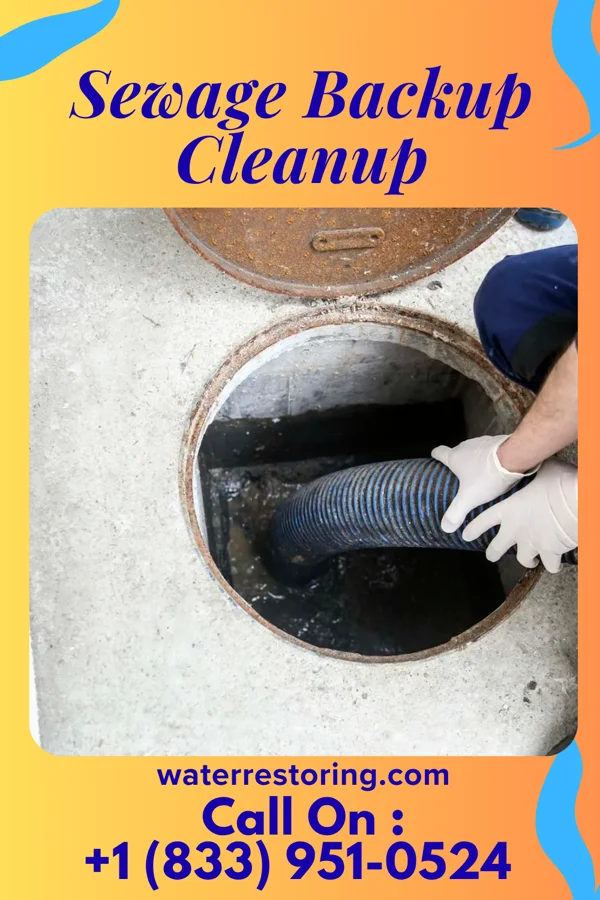 Sewage Backup Cleanup in Roessleville, NY