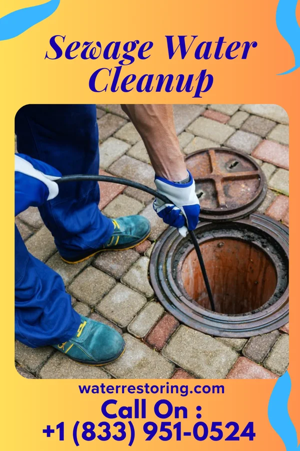 Sewage Water Cleanup in Roessleville, NY