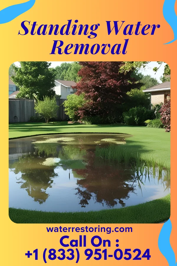 Standing Water Removal in Roessleville, NY